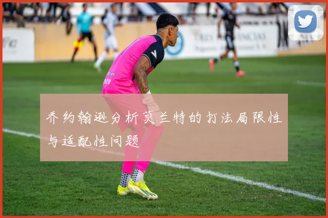 乔约翰逊分析莫兰特的打法局限性与适配性问题